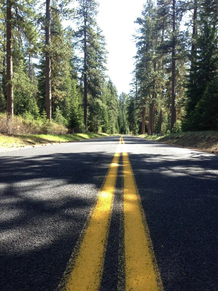 McKenzie-Pass-road.jpeg