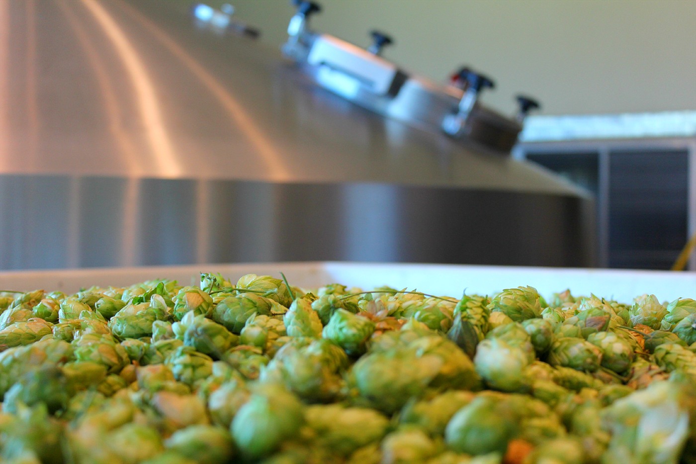 HOPS A LOT.jpg