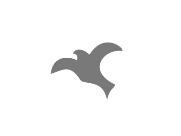 flight_thumb2.png
