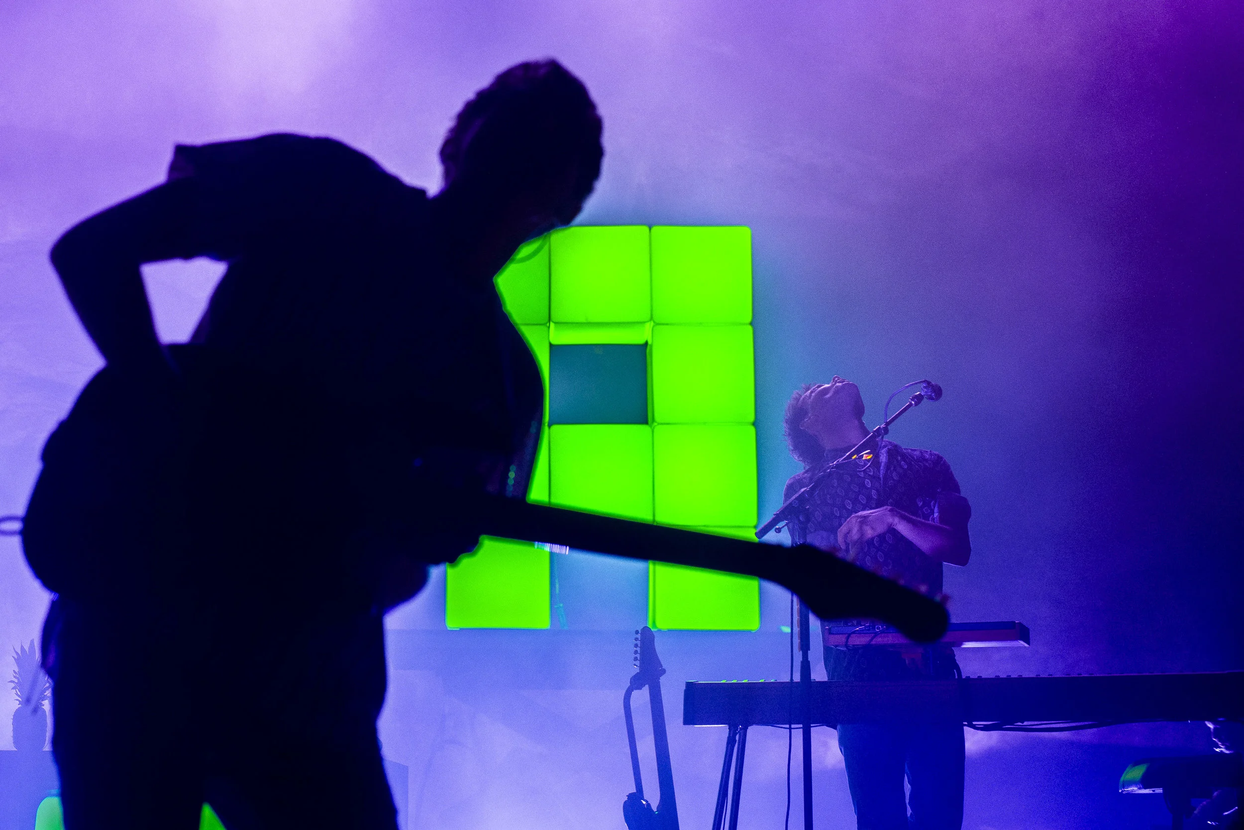 GlassAnimals_AustinVoldseth-1.jpg