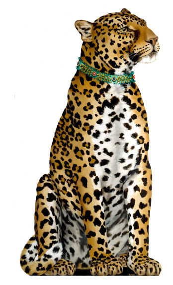 leopard_small_for_web.jpg