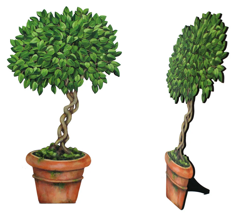 FICUS_DOUBLE.jpg