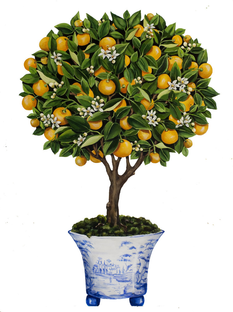 KB_ORANGE_TREE_7_29_13_CLEAN_small.jpg