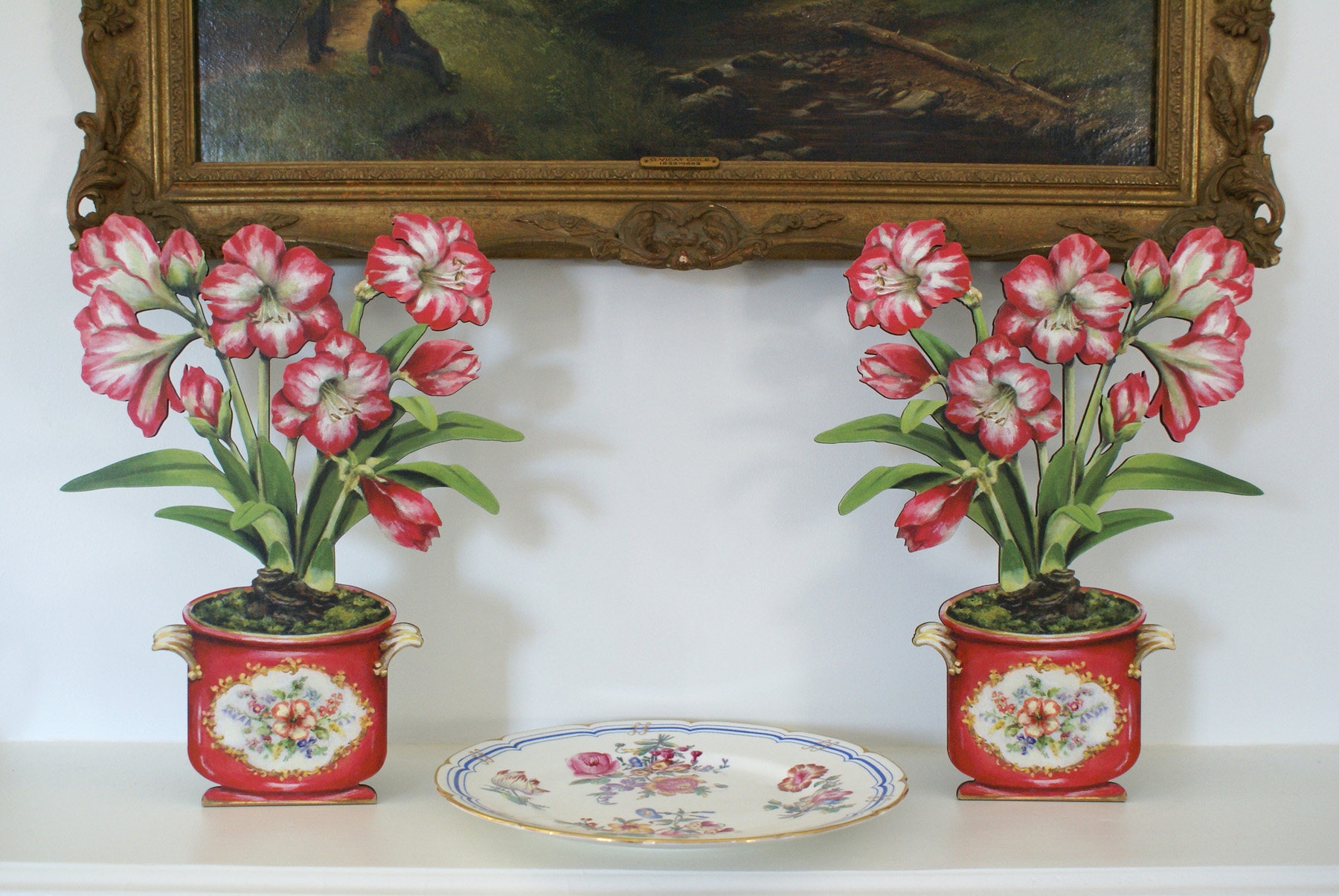 AMARYLLIS_CONTEXT_sm.jpg