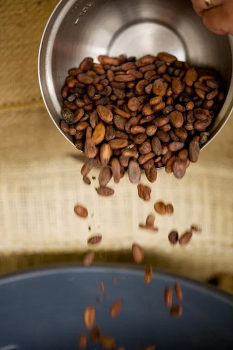 BeansFalling.jpg