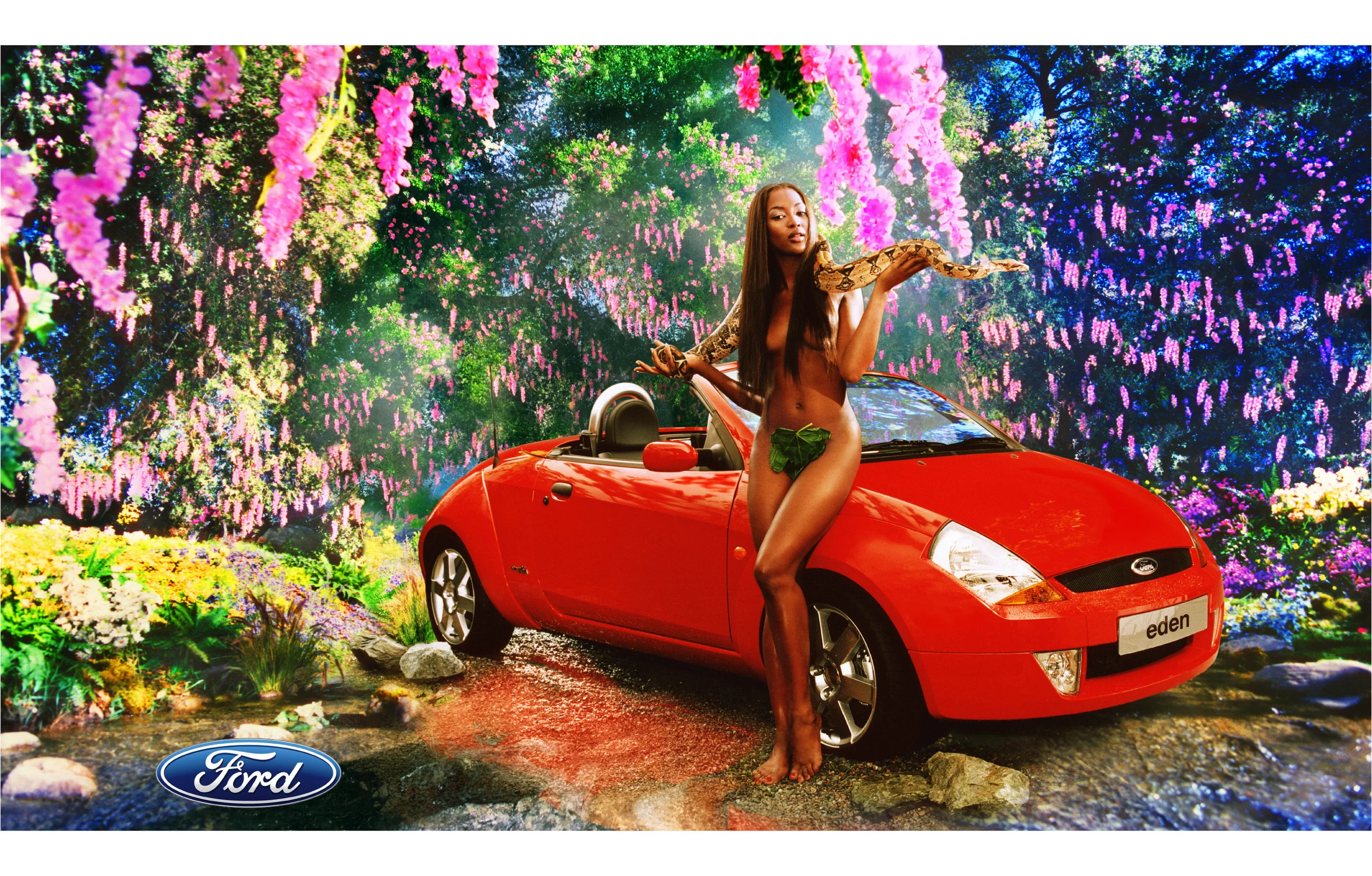 Advertising Portfolio-64.jpg