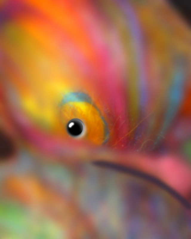 woodpecker