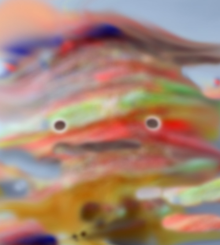 mudskipper