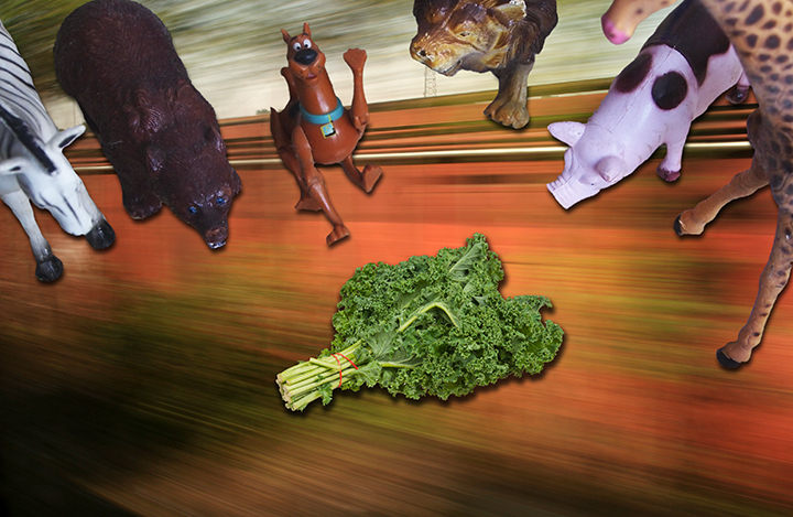 scooby'll eat kale