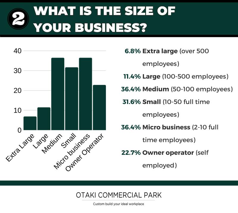 Kapiti Business sizes in survey.jpeg