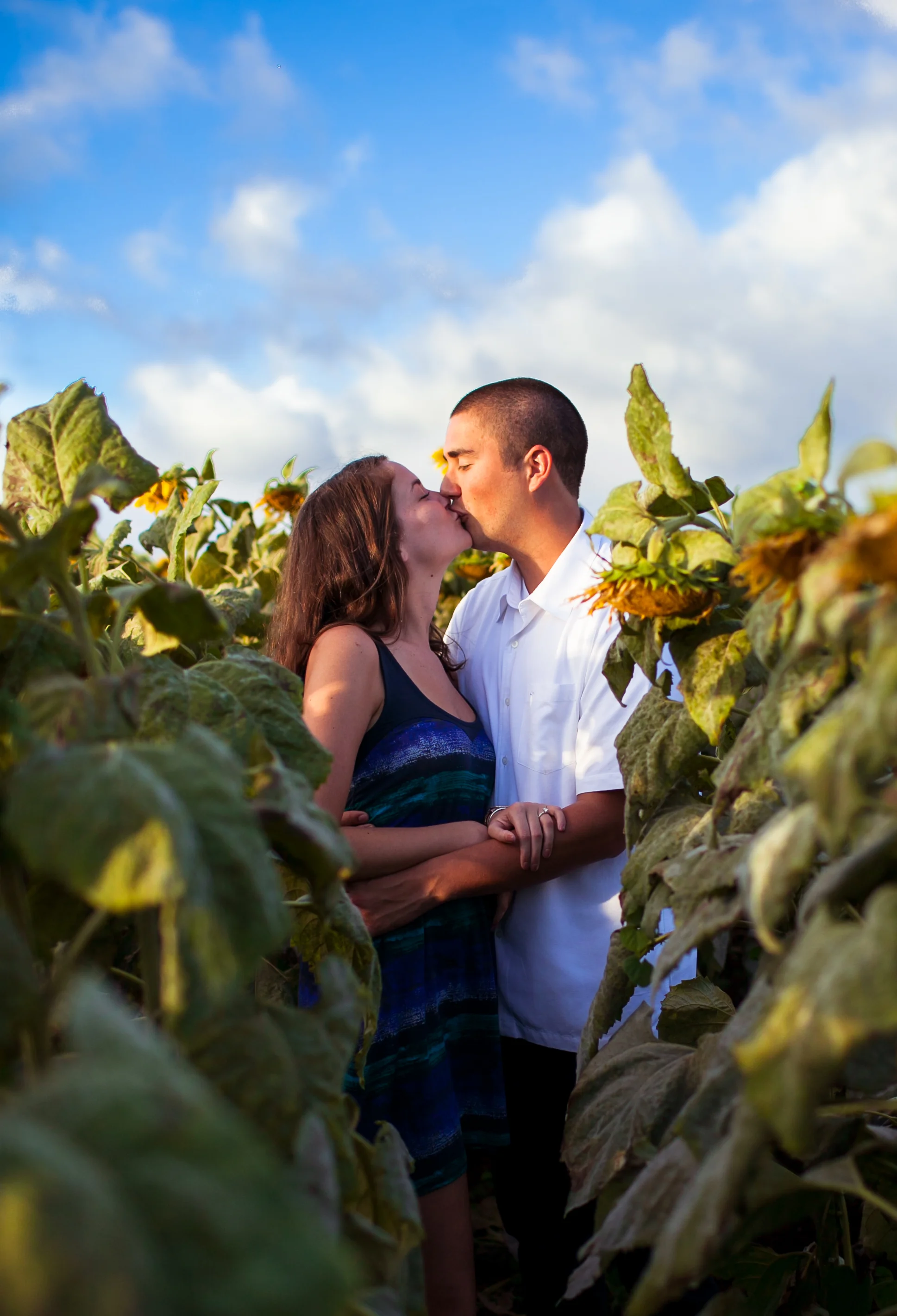 Sunflower Field Engagement