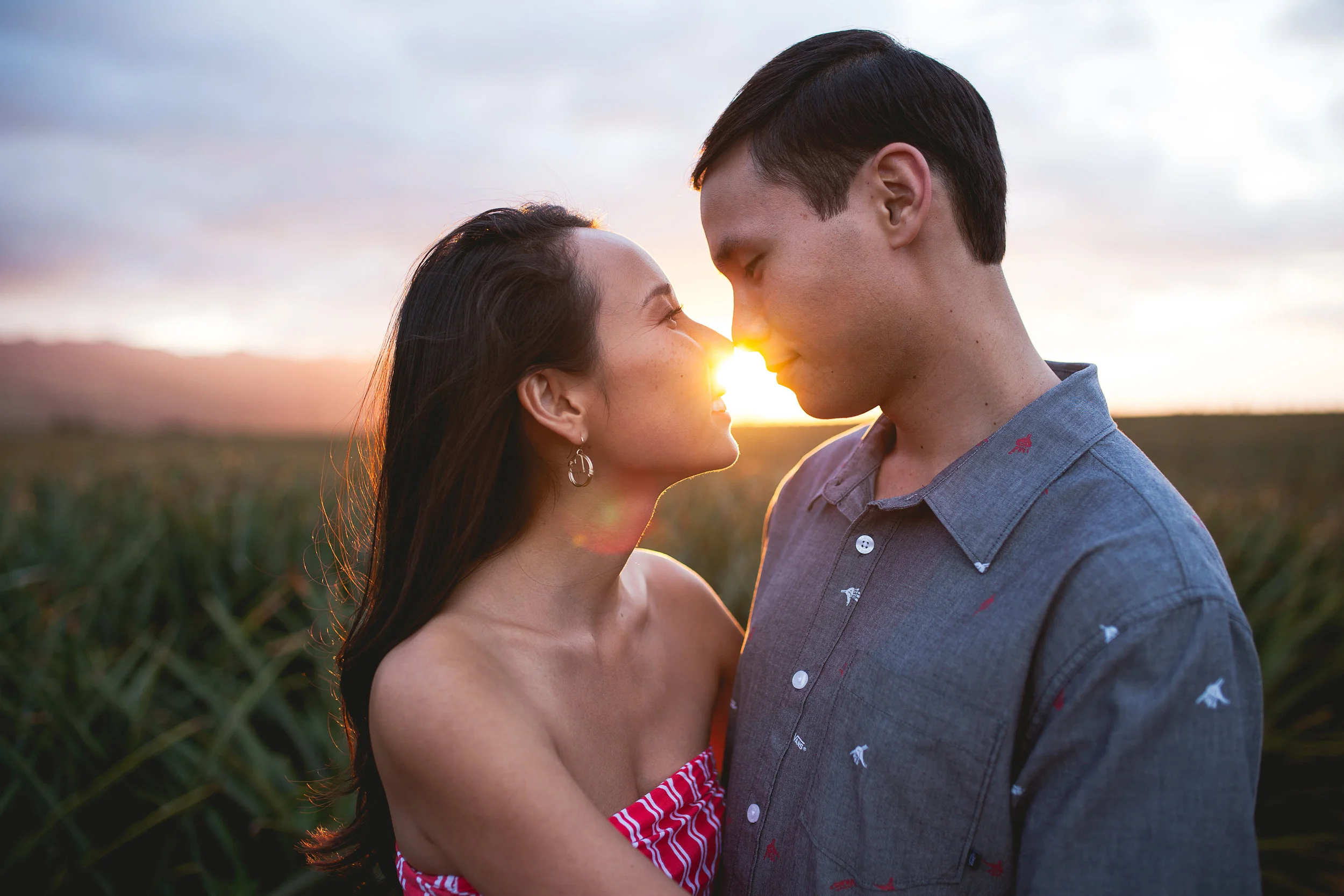 Pineapple Fields Sunset engagement