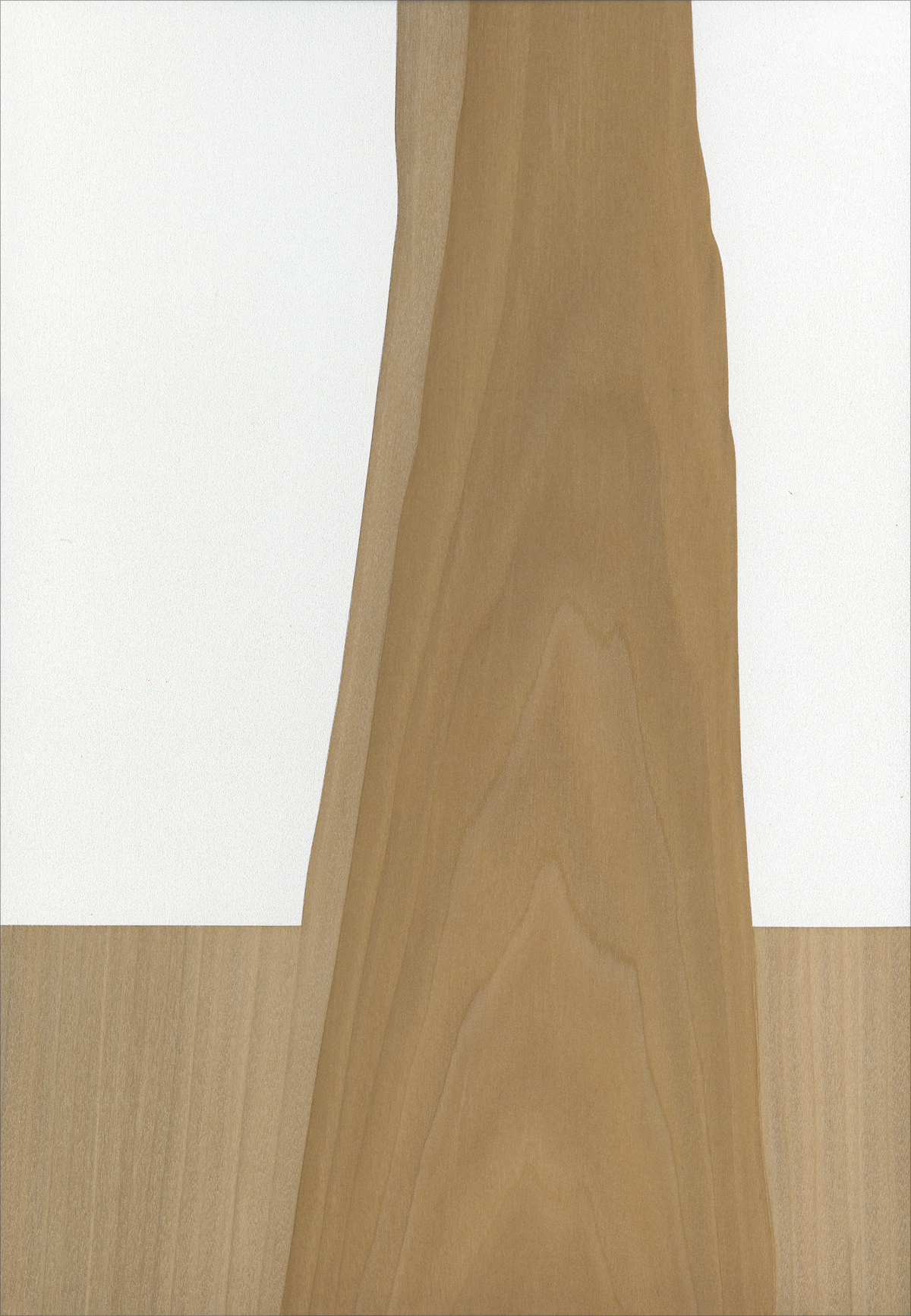   Liniment (Rabatement #2)  Gesso/Lacquer/Wood 7” x 10” x 1” 2017 