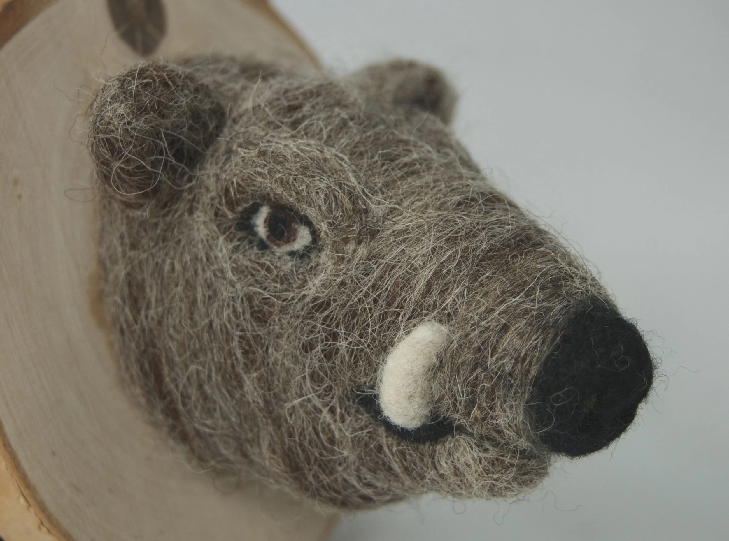 Warthog