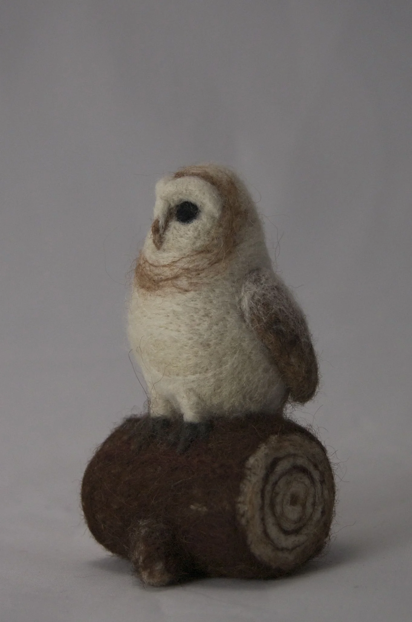 Hoot on a log
