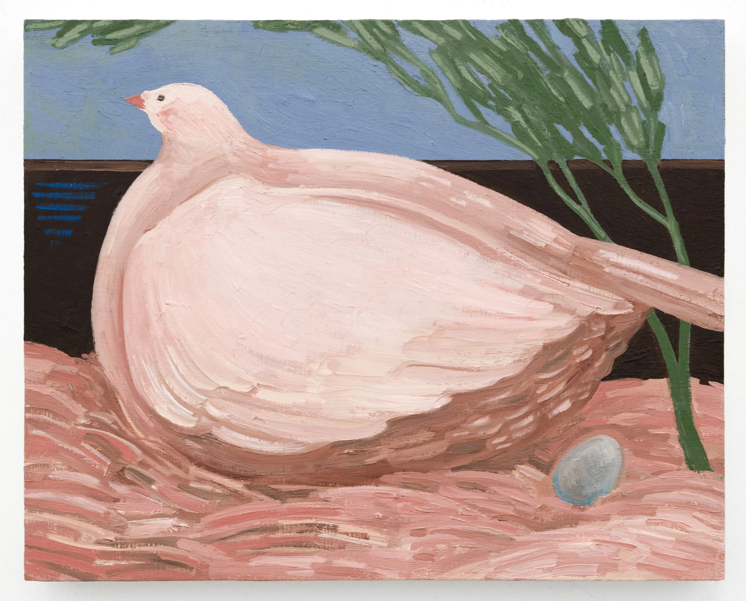 Mark's Pigeon (Birth)