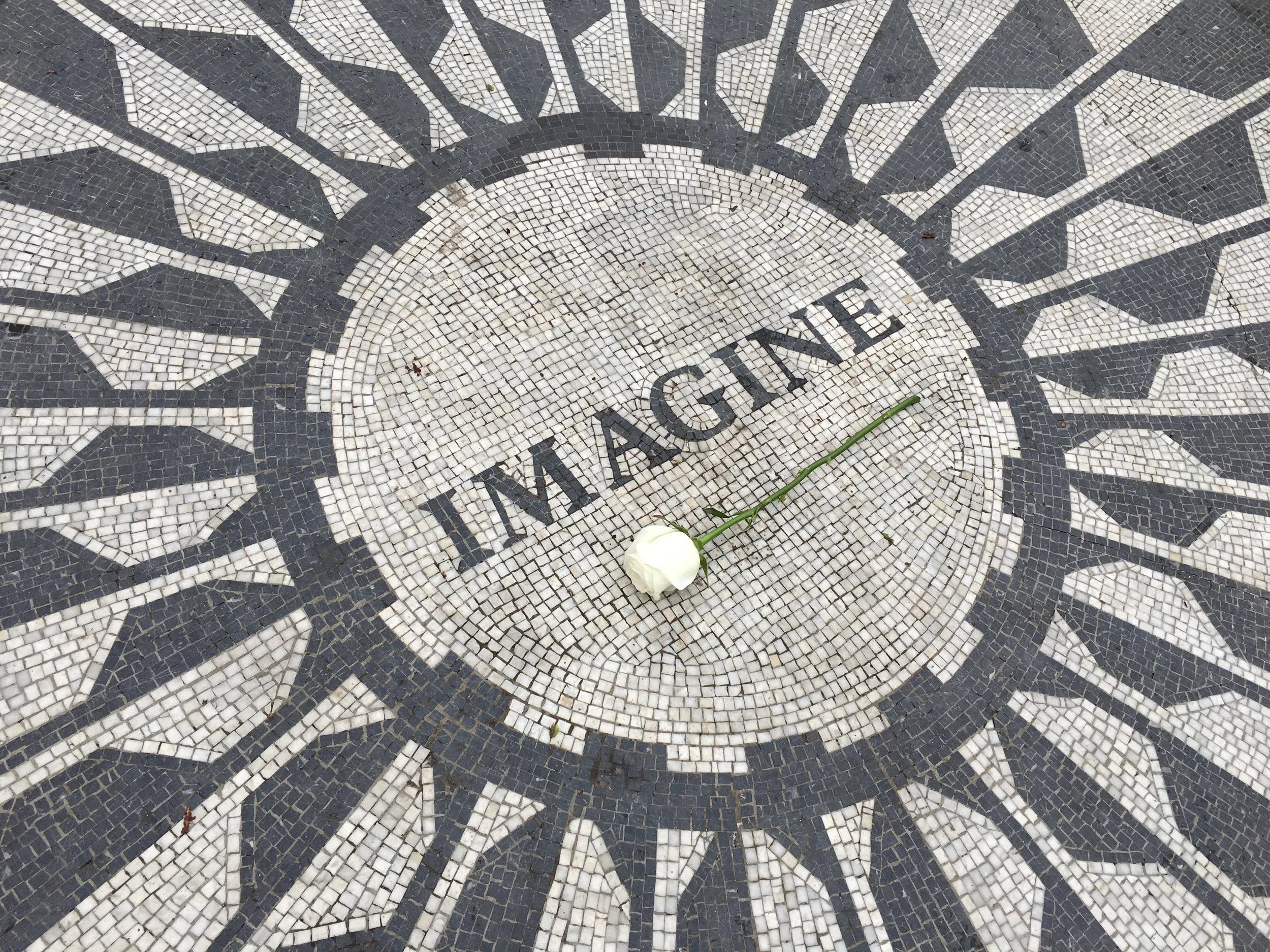 Imagine IMG_0841.JPG