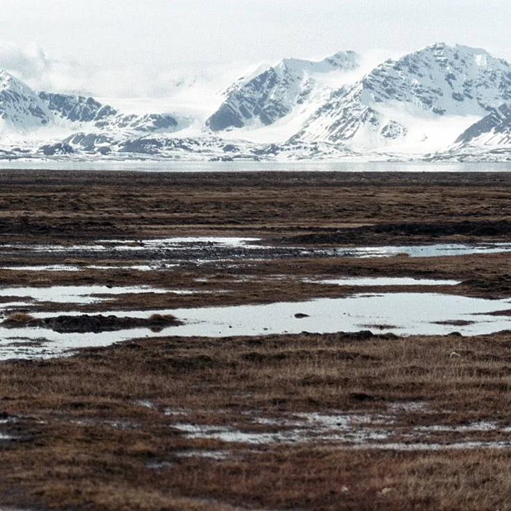 tundra.jpg