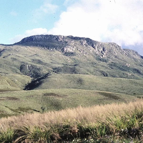 Nyangani_from_nyamuziwa_source.jpg