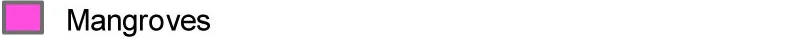 Mangroves.jpg