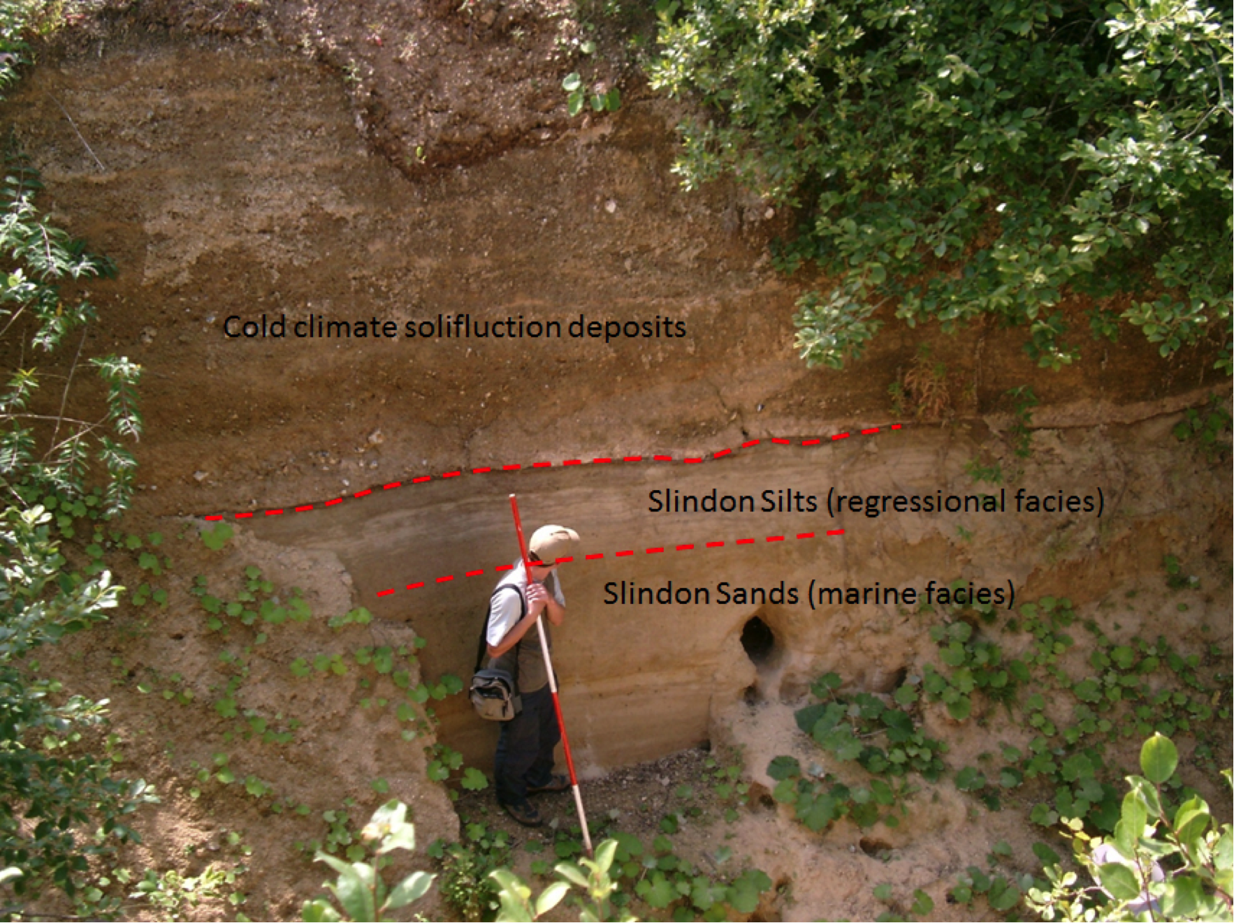 Marine sands overlain by cold climate solifluction deposits, Boxgrove, West Sussex.