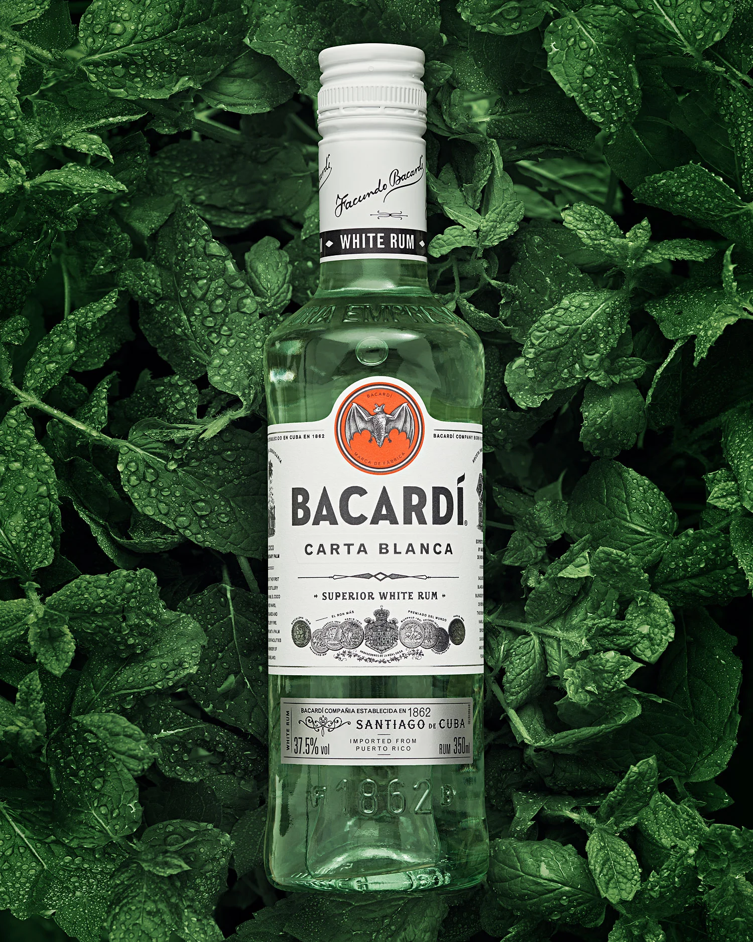 Bacardi Mojito