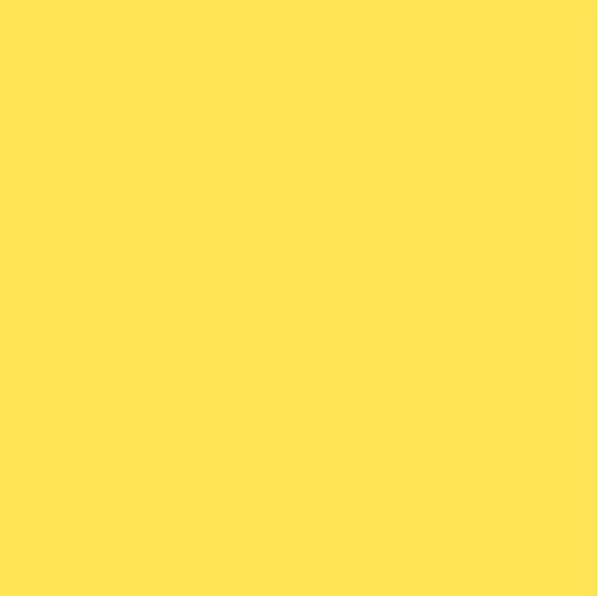 yellowBG.jpg