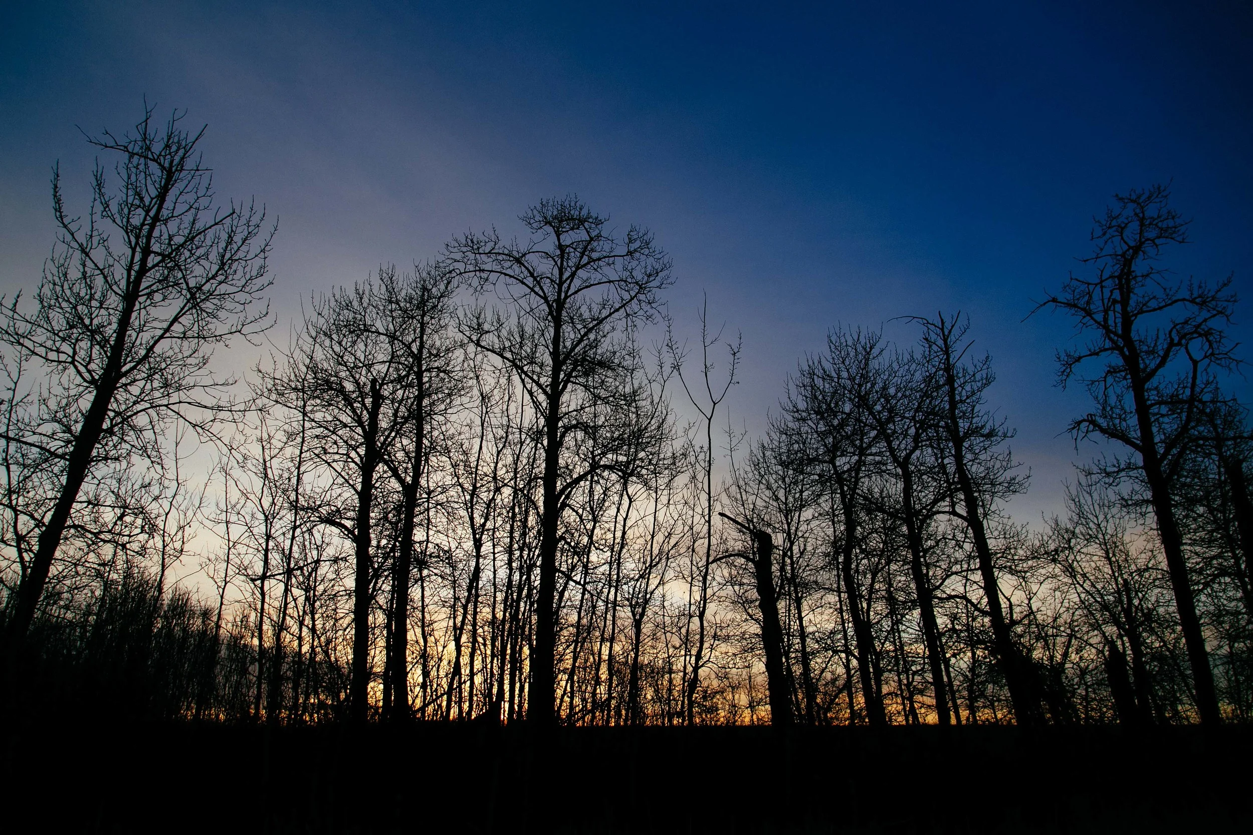 Red Deer County - Sunrise off Highway 2 between Red Deer and Calgary