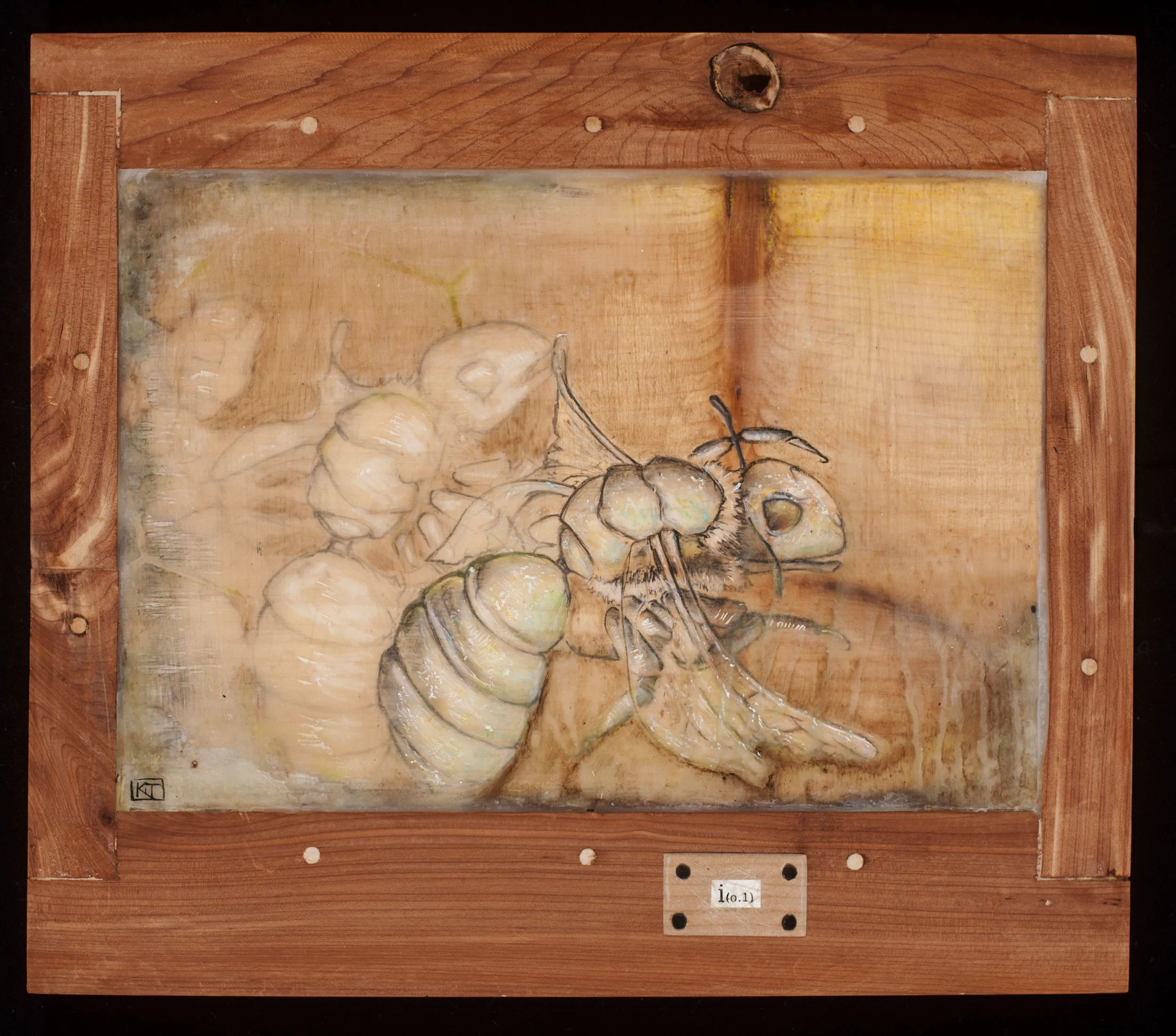 1187 bees final comp.jpg