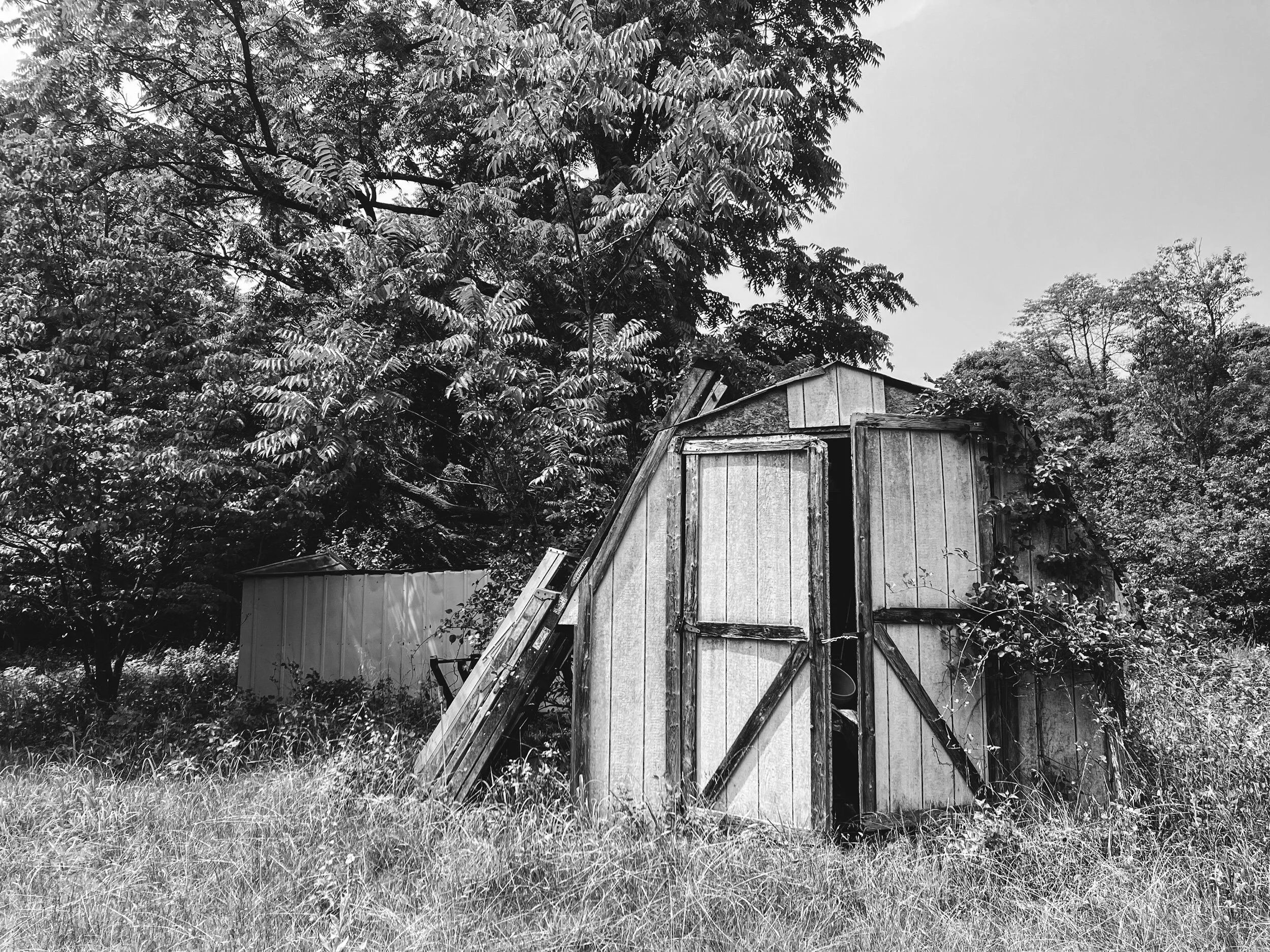 C08459CD-EBF0-4B6F-837A-CEAA684CD44D