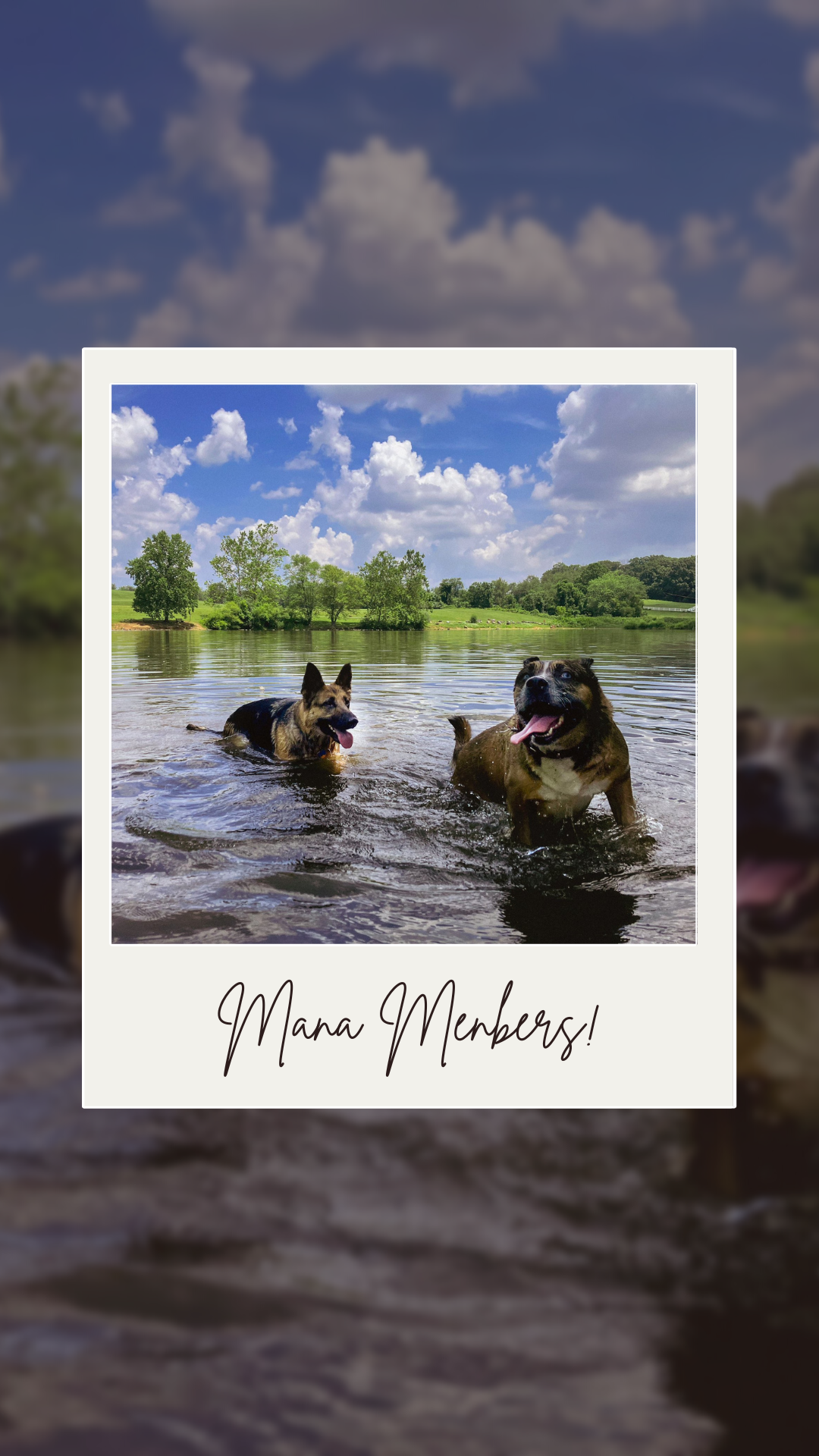 9648A32B-AE4E-4765-BD22-56DCB503CCCB