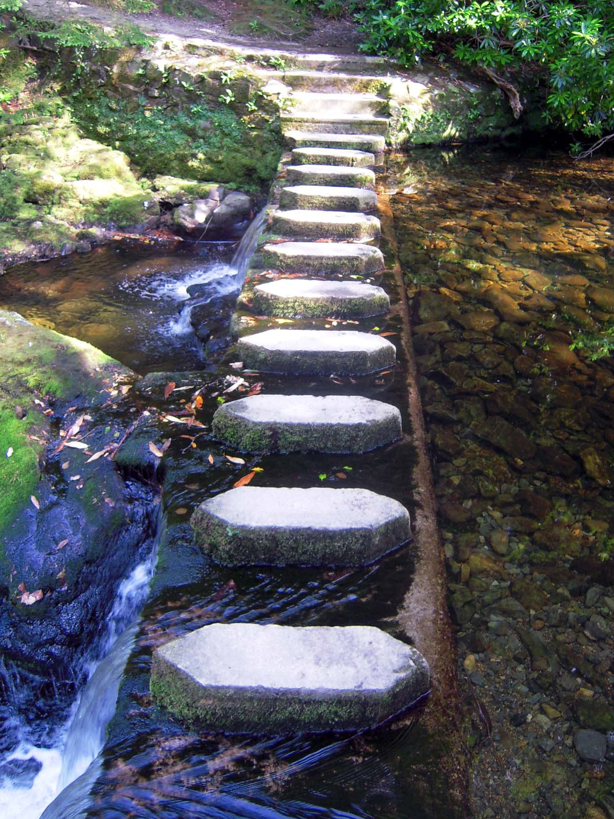 steps.jpg