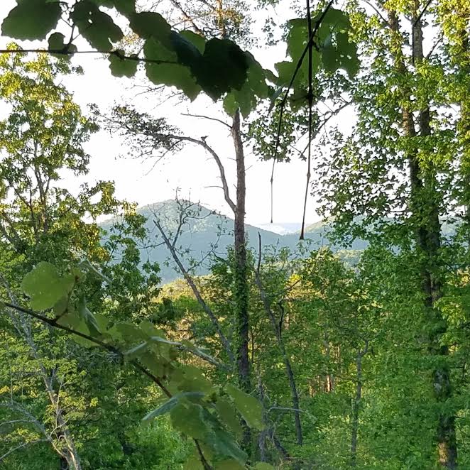 View of the GA mountains from William Holland