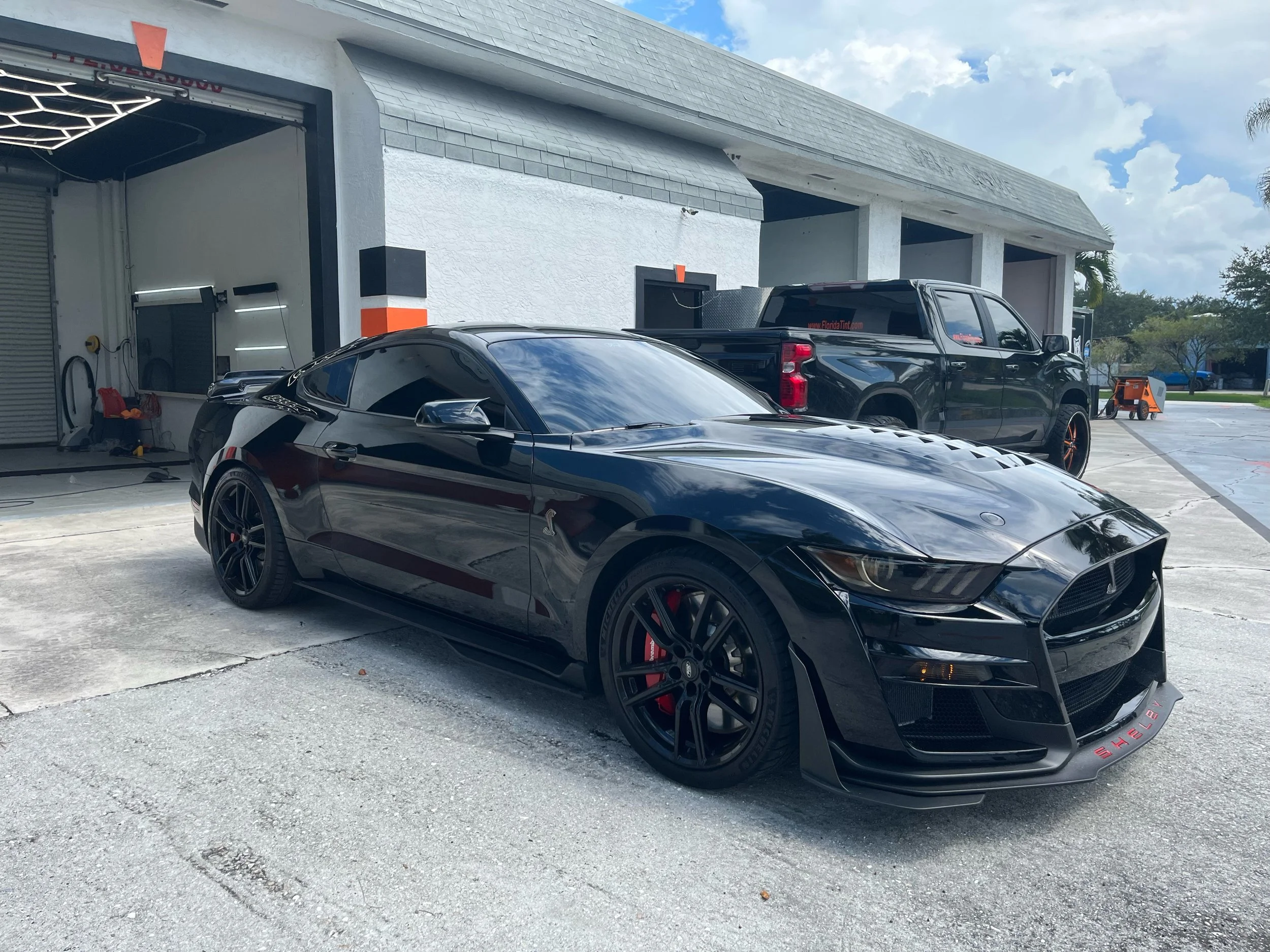 Florida Tint