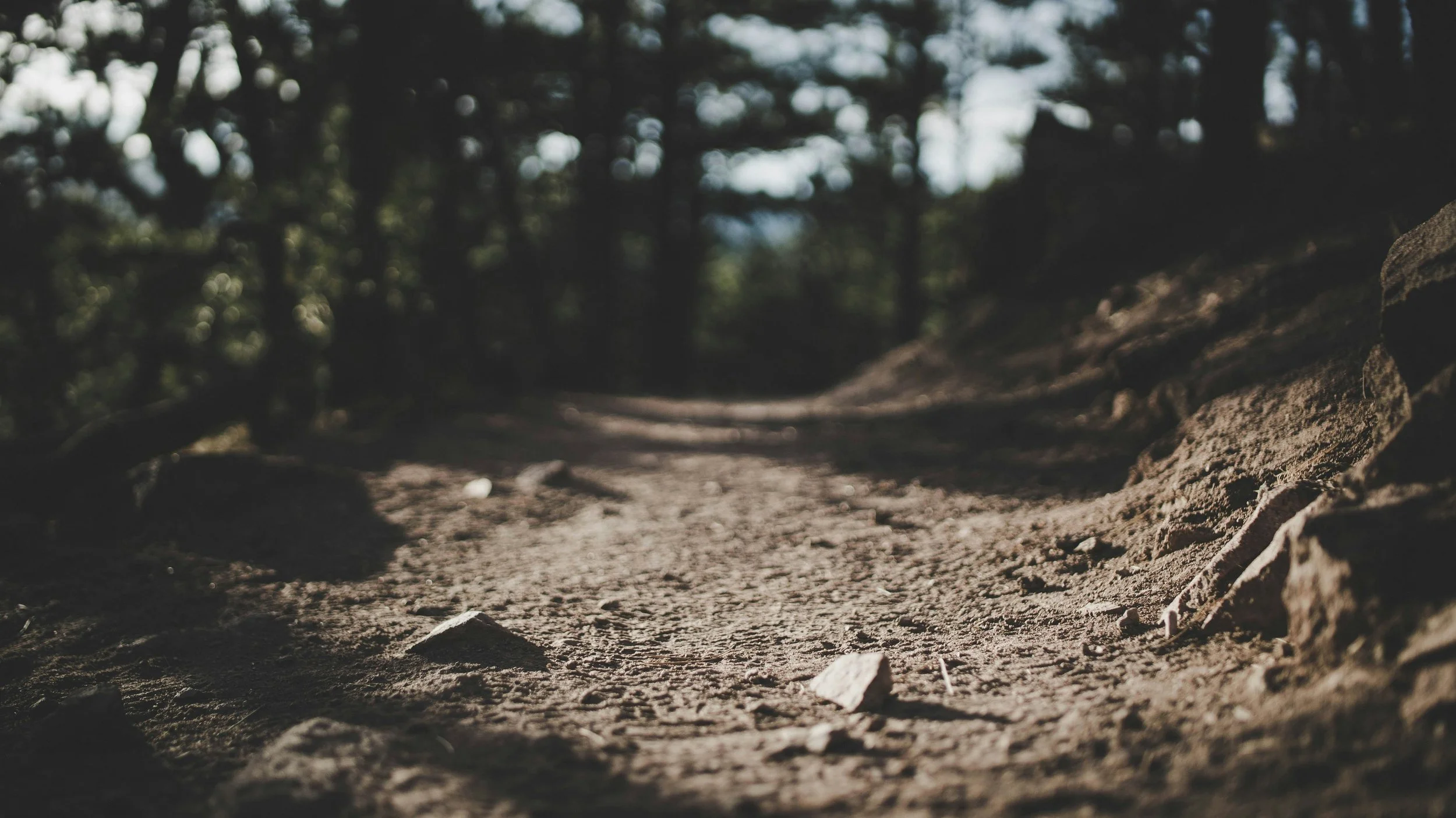 trevor-brown-NCYe9snqg54-unsplash.jpeg