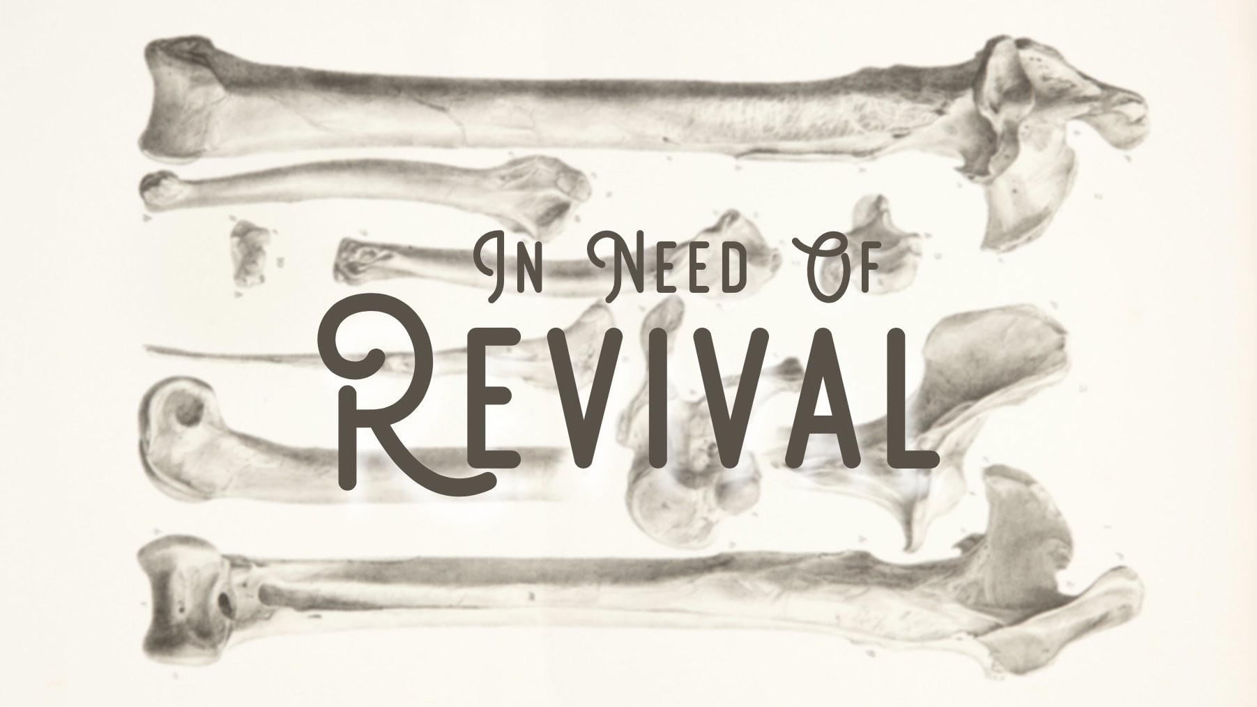 needrevival.jpg