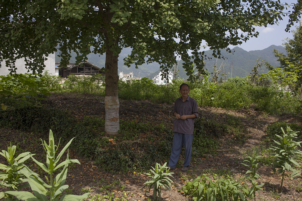   Wang Shouchang stands in the shade of a tree on the outskirts of Bishan. Below this patch of raised earth lie the unattended tombs of the Wang family. The family originated from the Lu state (today’s Shandong province) more than 2,600 years ago dur