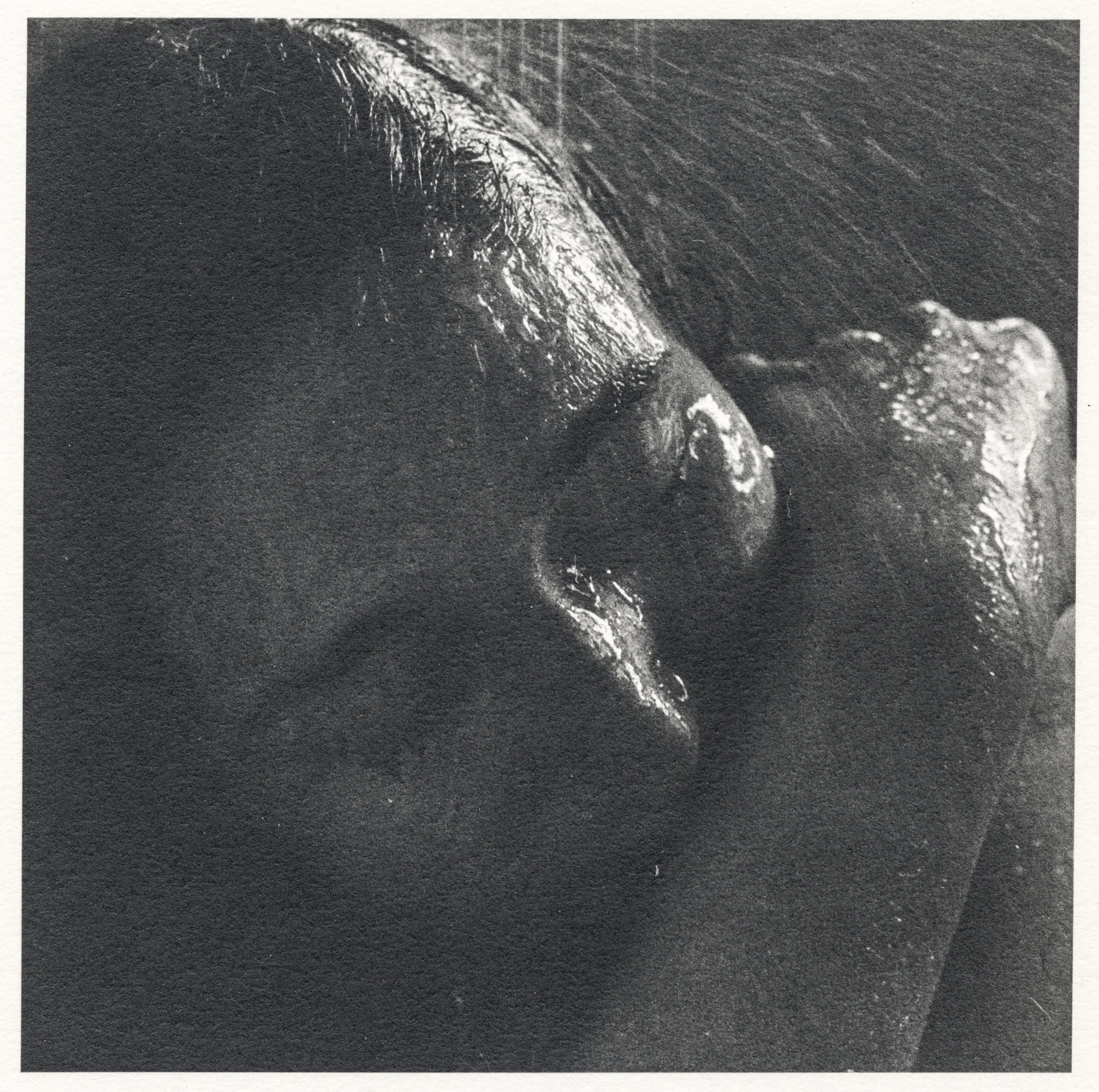 Crystallized Projections_3.jpg