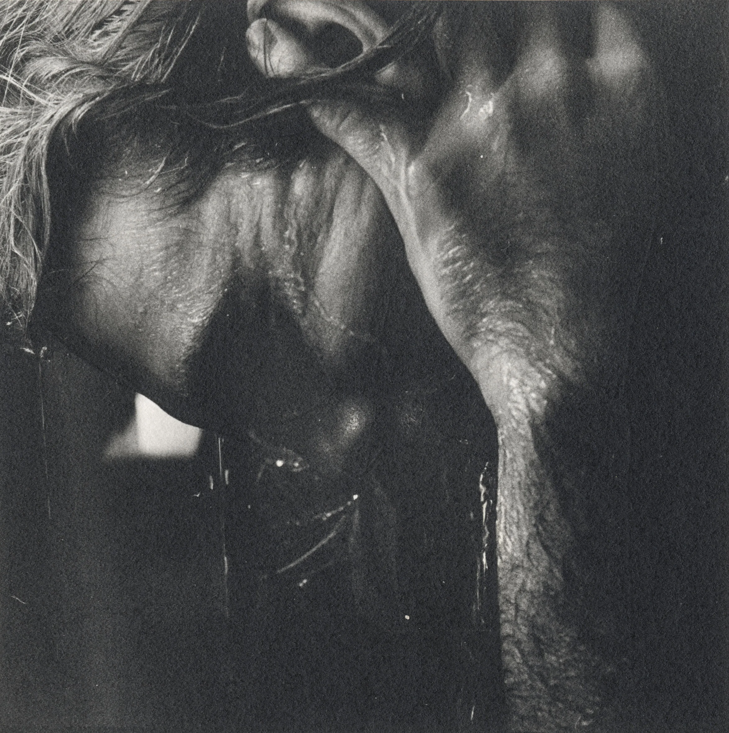 Crystallized Projections_7.jpg