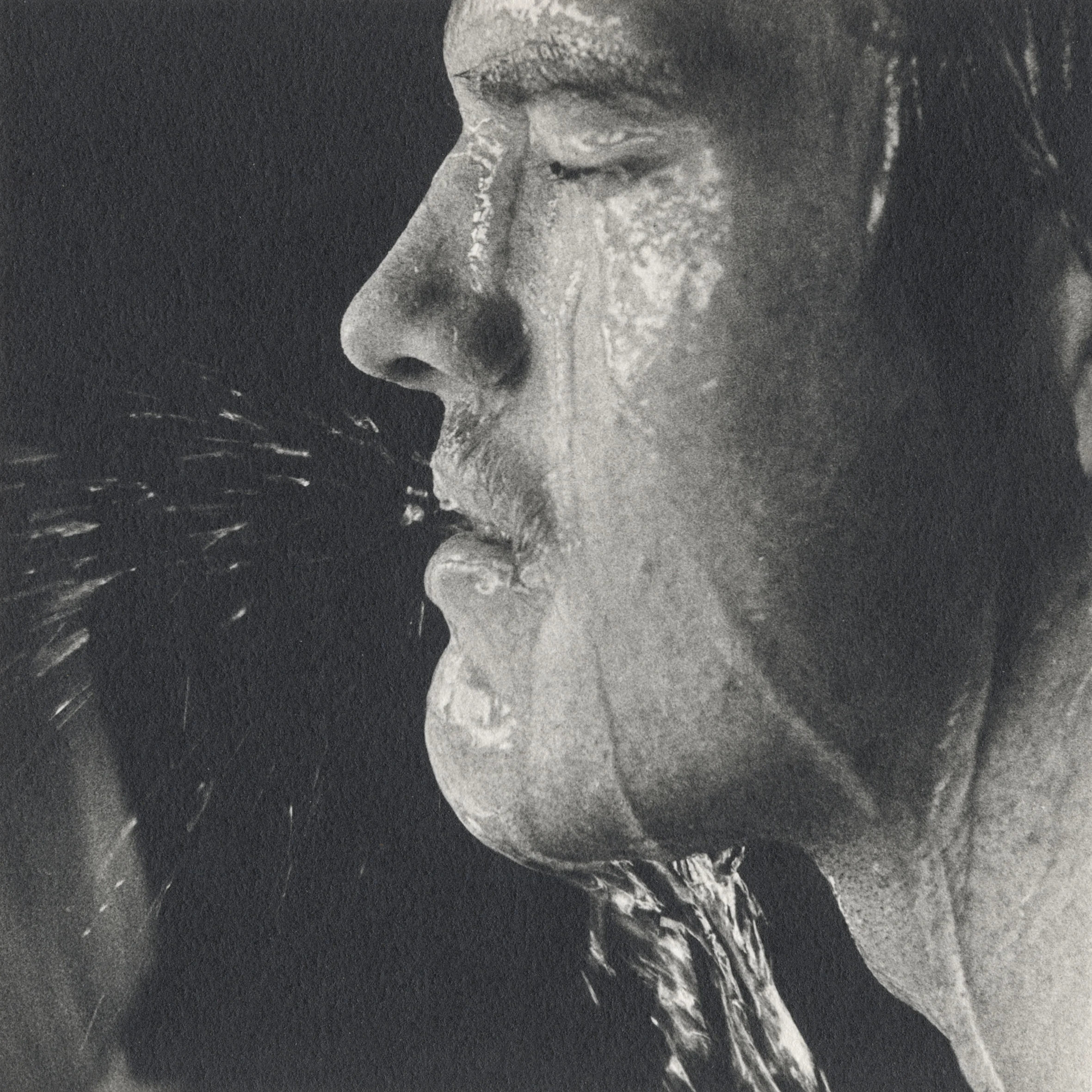 Crystallized Projections_13.jpg