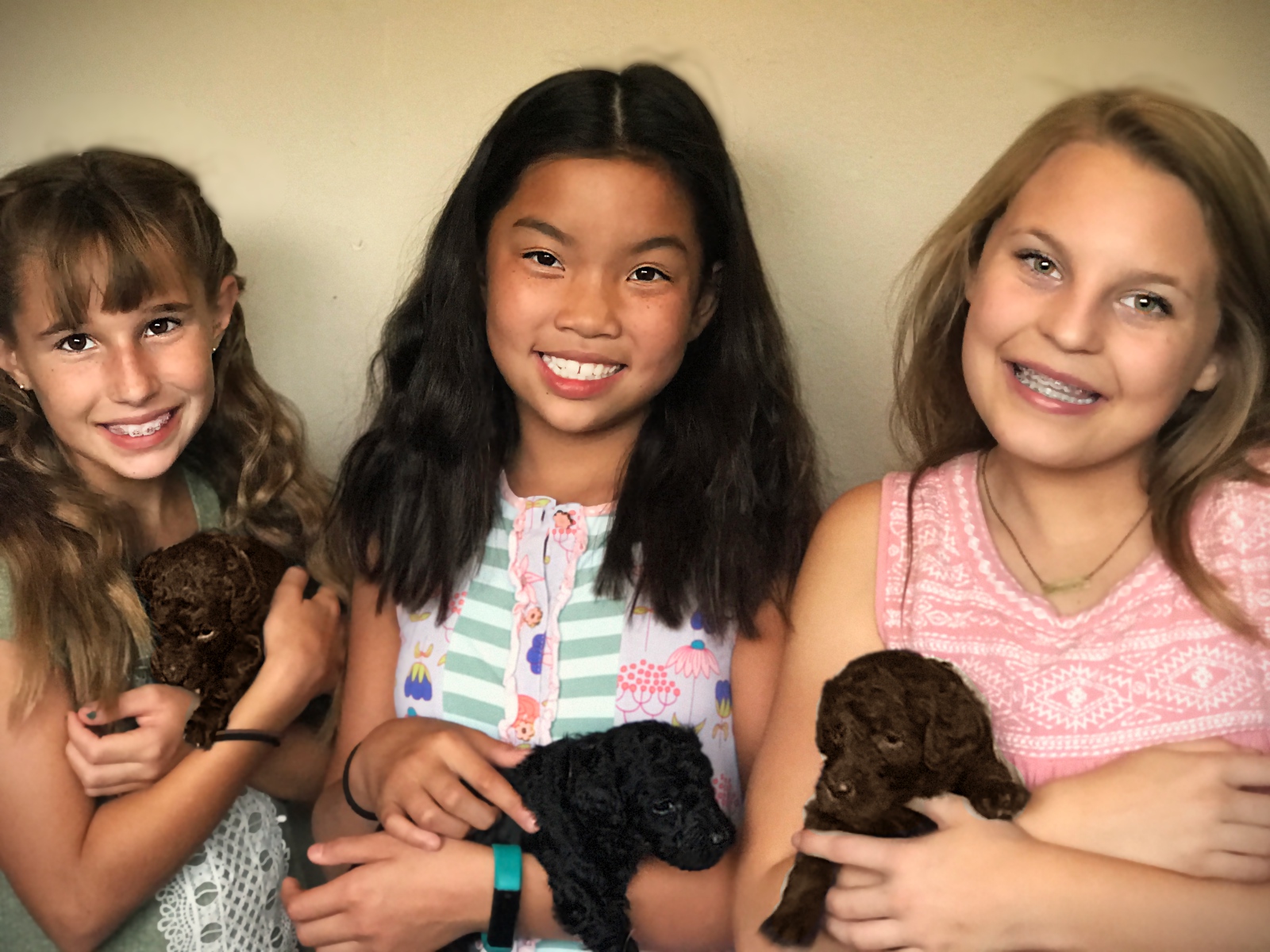 girls_holding_pups_standard_poodle_puppies.jpg