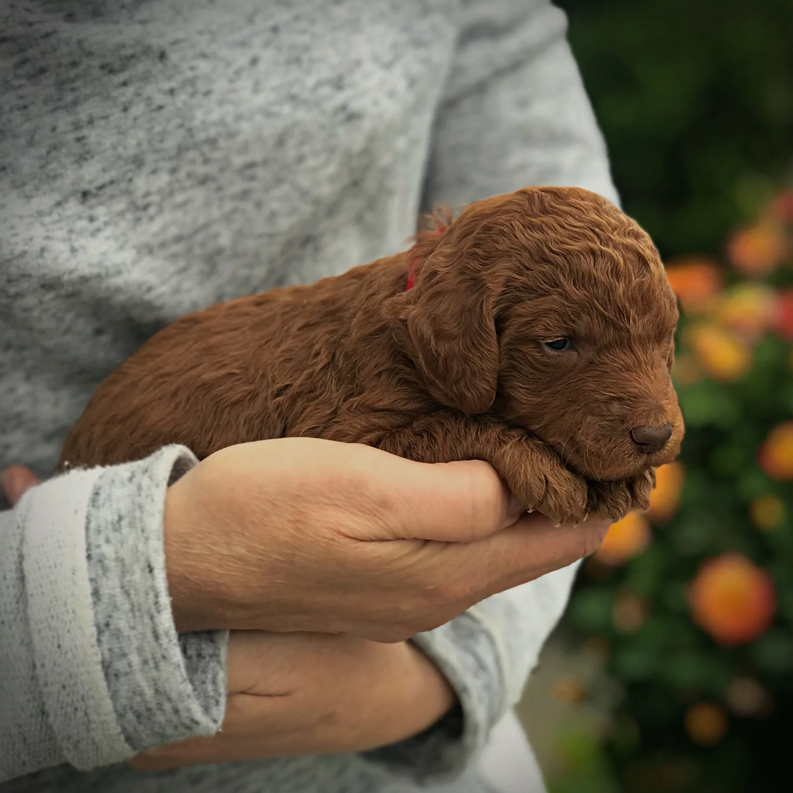 2 Weeks Old!