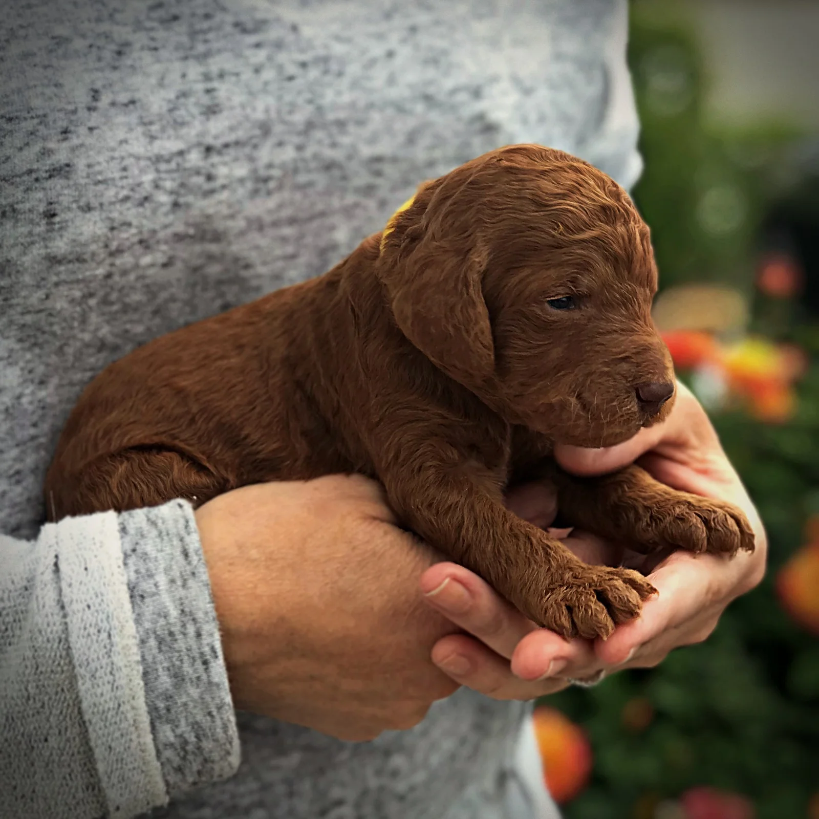 2 Weeks Old!