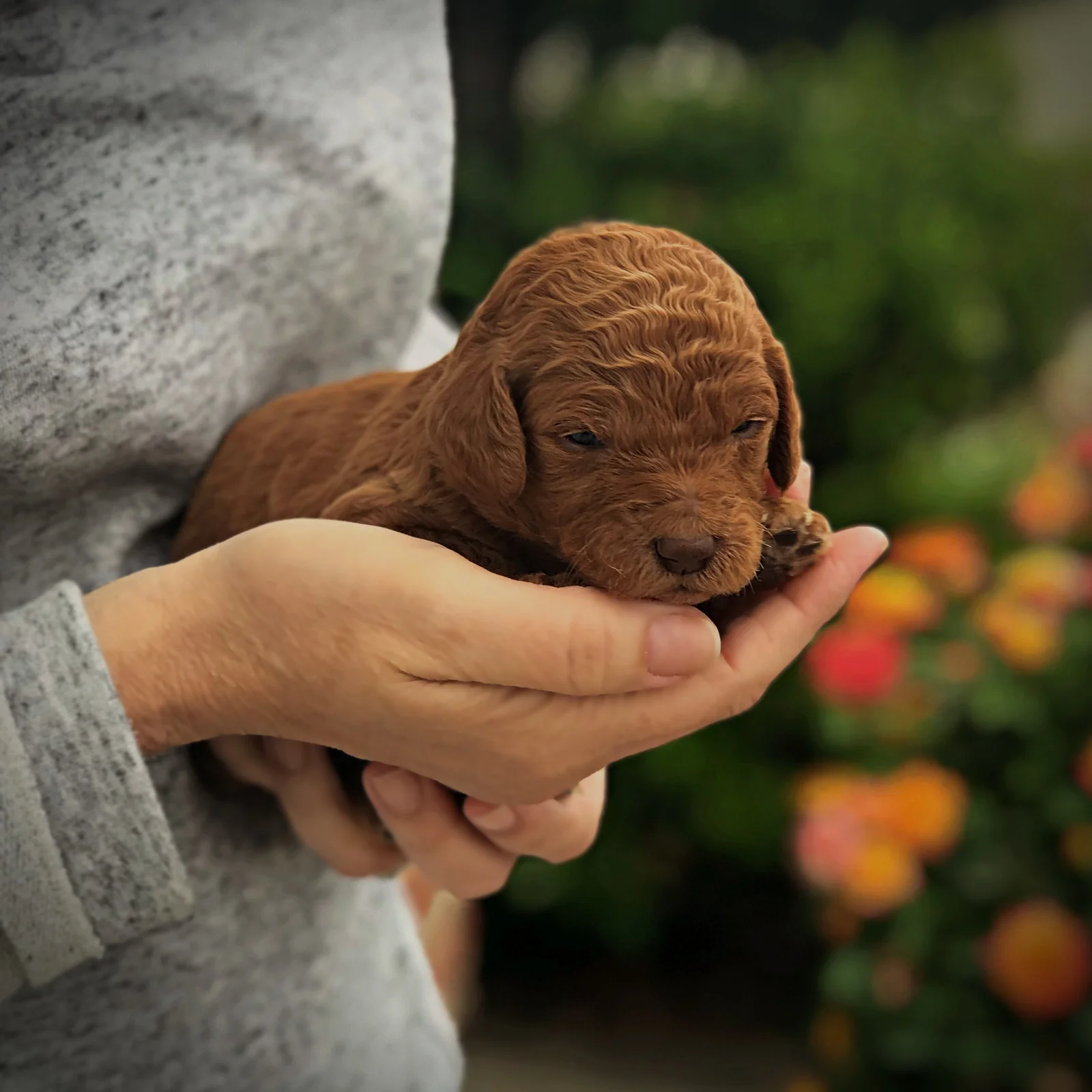 2 Weeks Old!