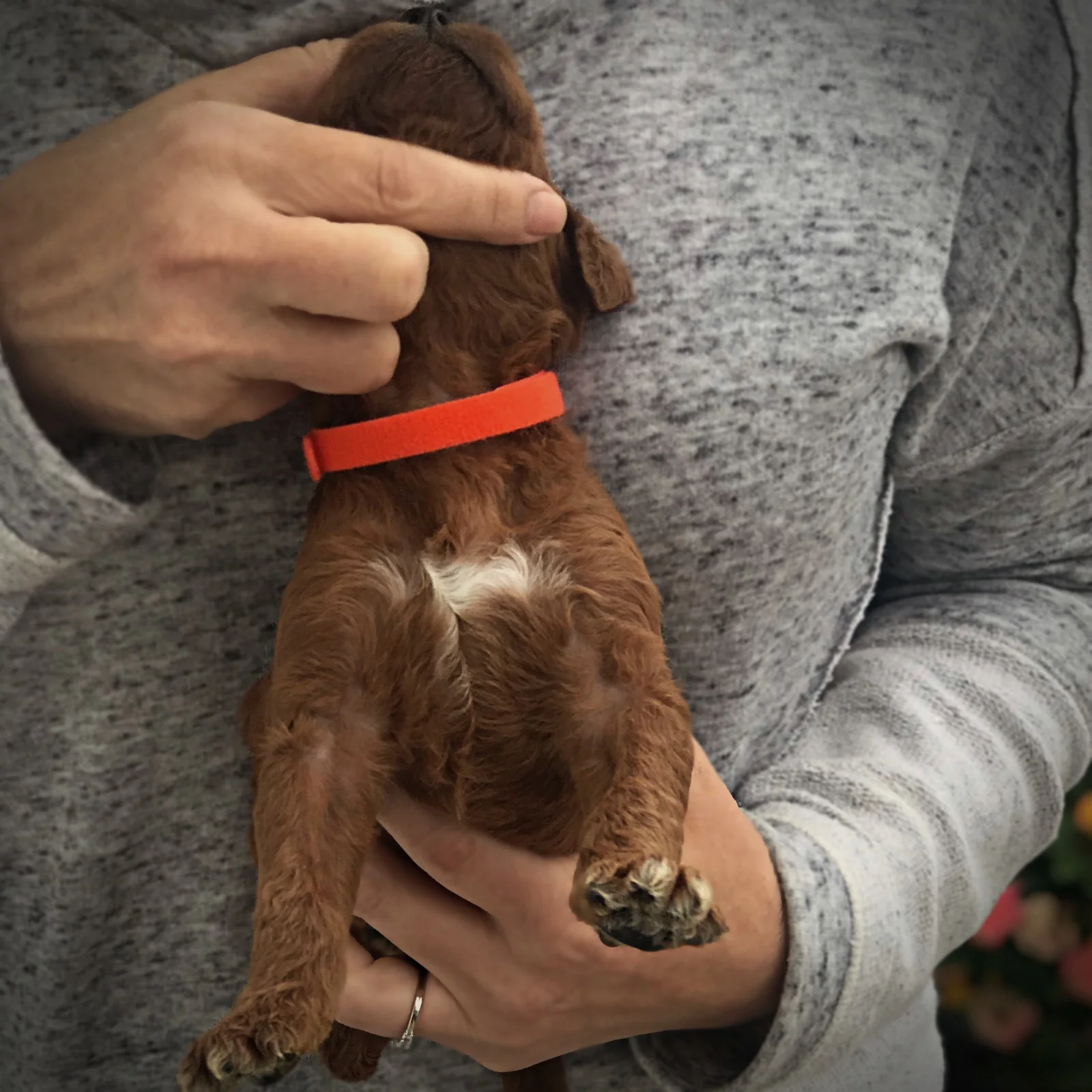 2 Weeks Old!
