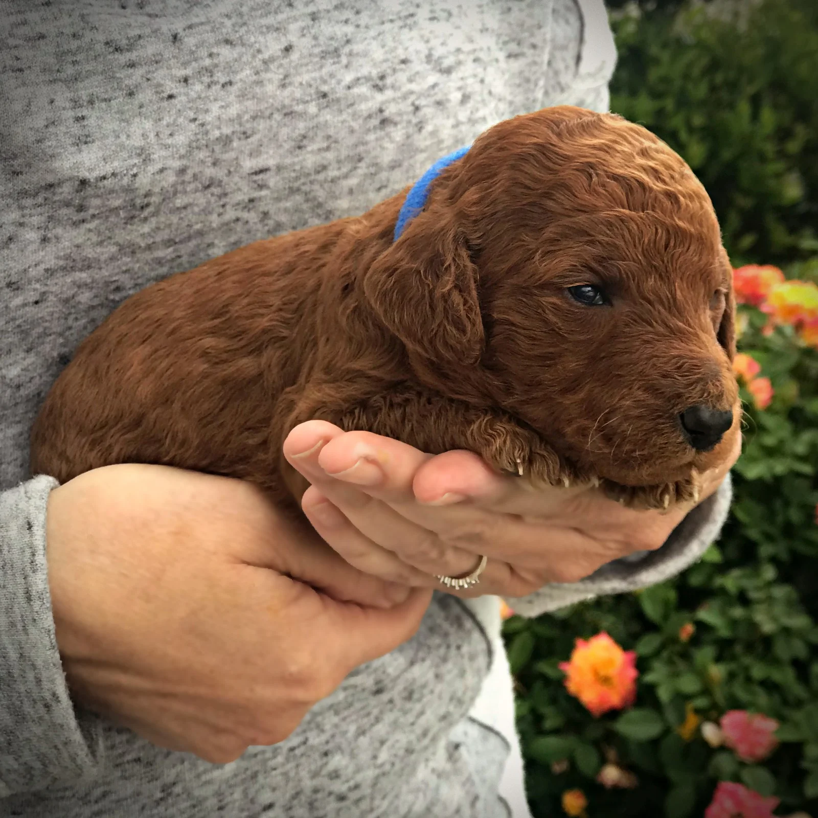 2 Weeks Old!