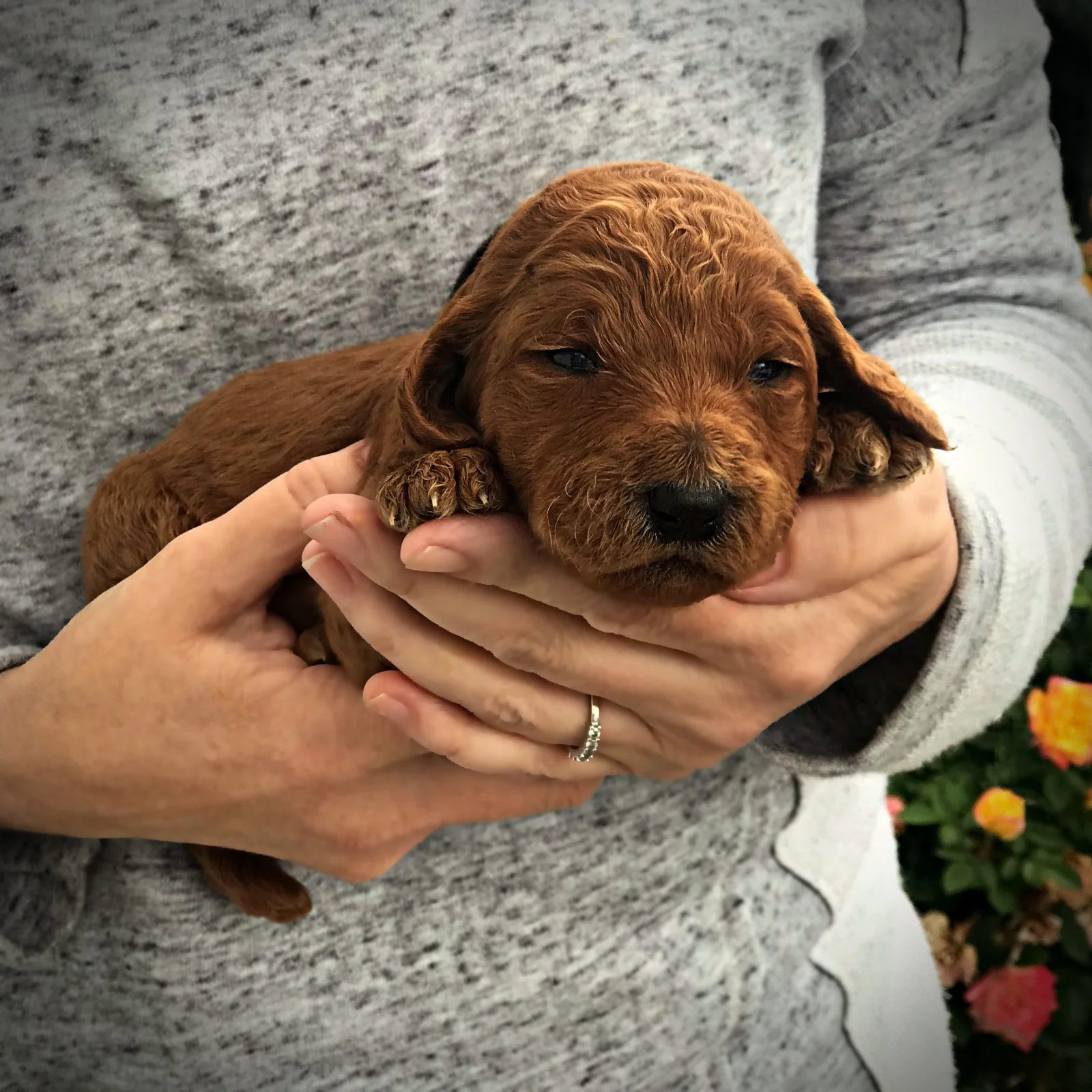 2 Weeks Old!