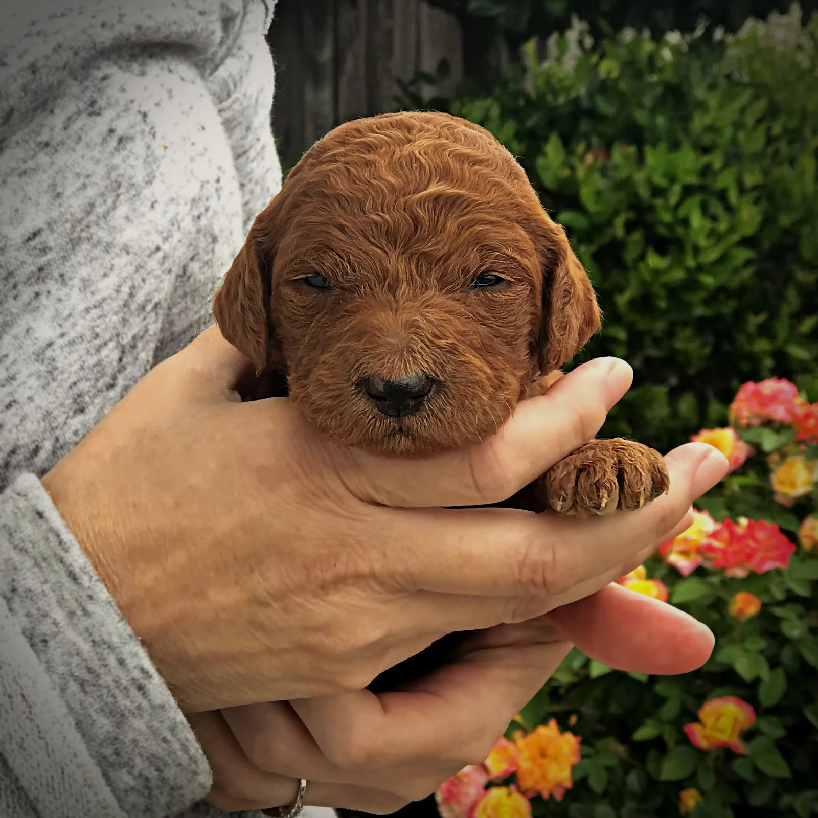 2 Weeks Old!