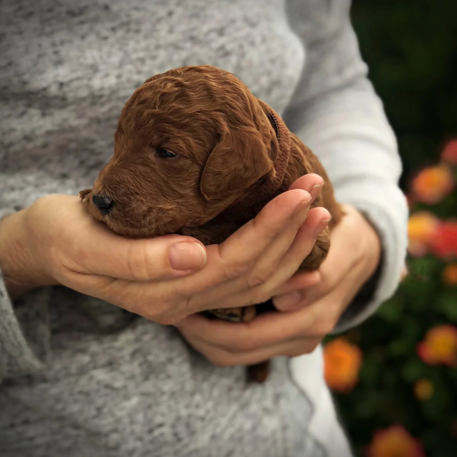 2 Weeks Old!