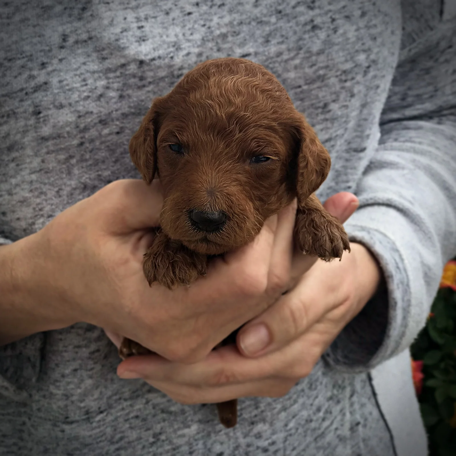 2 Weeks Old!